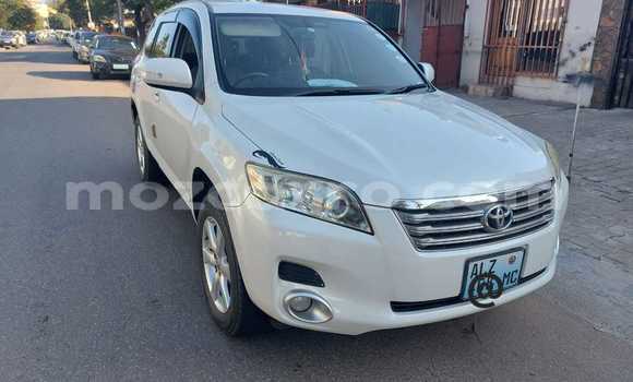 Buy New Toyota Vanguard White Car in Maputo in Maputo Buy New Toyota Vanguard White Car in Maputo in Maputo