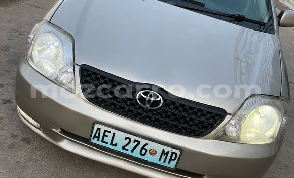 Buy Used Toyota Corolla Silver Car in Maputo in Maputo