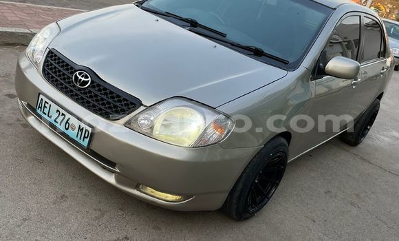 Nunua Ilio tumika Toyota Corolla Fedha Gari ndani ya Maputo nchini Maputo Nunua Ilio tumika Toyota Corolla Fedha Gari ndani ya Maputo nchini Maputo