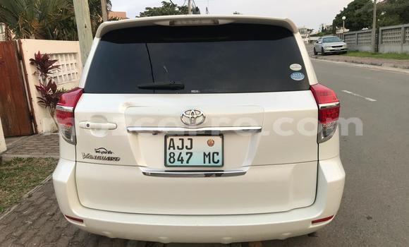 Buy Used Toyota Vanguard White Car in Maputo in Maputo Buy Used Toyota Vanguard White Car in Maputo in Maputo
