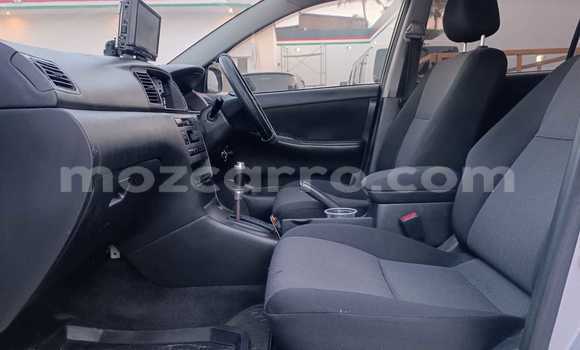 Nunua Ilio tumika Toyota Runx Nyingine Gari ndani ya Maputo nchini Maputo Nunua Ilio tumika Toyota Runx Nyingine Gari ndani ya Maputo nchini Maputo