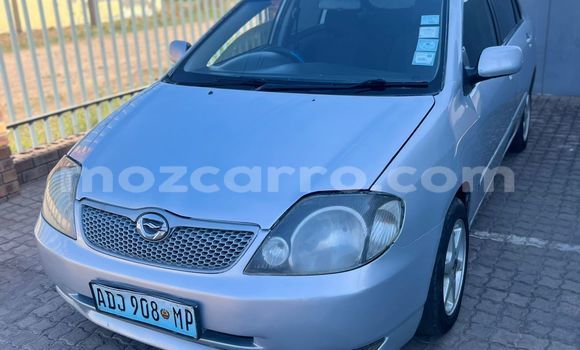 Comprar Usado Toyota Runx Prata Carro em Maputo em Maputo