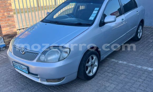 Tenga Tsaru Toyota Runx Sirivha Mota in Maputo in Maputo Tenga Tsaru Toyota Runx Sirivha Mota in Maputo in Maputo