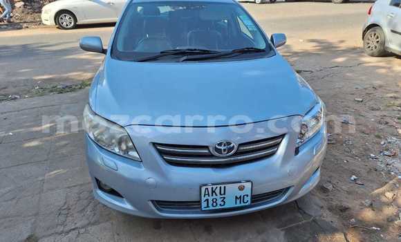 Buy Used Toyota Corolla Blue Car in Maputo in Maputo