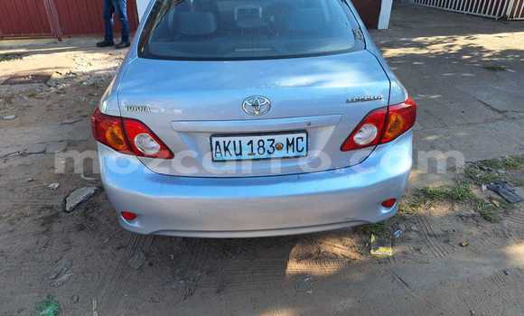 Comprar Usado Toyota Corolla Azul Carro em Maputo em Maputo Comprar Usado Toyota Corolla Azul Carro em Maputo em Maputo