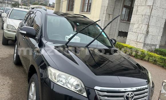 Buy Used Toyota Vanguard Black Car in Maputo in Maputo