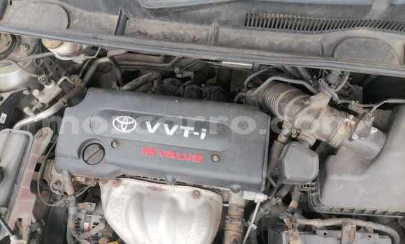 Comprar Usado Toyota Vanguard De outros Carro em Maputo em Maputo Comprar Usado Toyota Vanguard De outros Carro em Maputo em Maputo