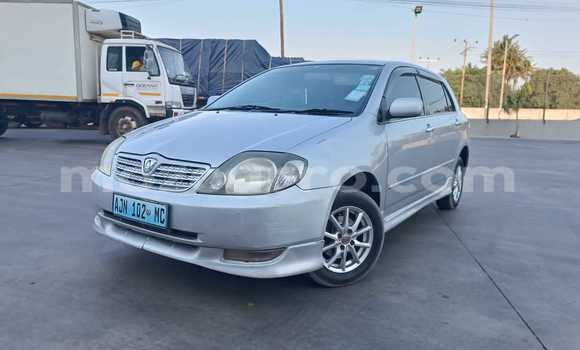 Comprar Usado Toyota Runx Prata Carro em Maputo em Maputo