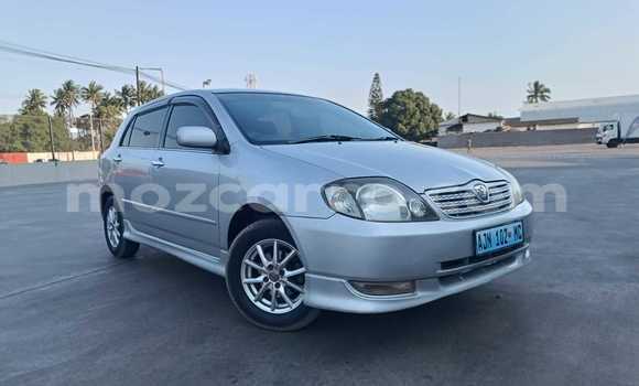 Buy Used Toyota Runx Silver Car in Maputo in Maputo Buy Used Toyota Runx Silver Car in Maputo in Maputo