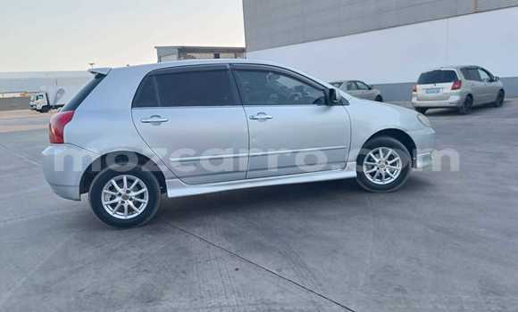 Buy Used Toyota Runx Silver Car in Maputo in Maputo Buy Used Toyota Runx Silver Car in Maputo in Maputo