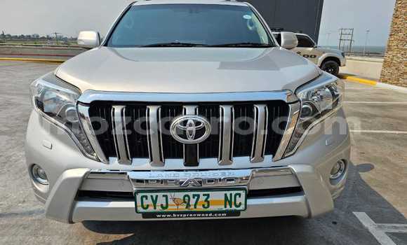 Comprar Usado Toyota Land Cruiser Prado De outros Carro em Maputo em Maputo Comprar Usado Toyota Land Cruiser Prado De outros Carro em Maputo em Maputo