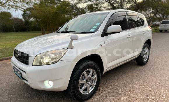 Buy Used Toyota RAV4 White Car in Maputo in Maputo