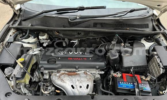 Tenga Tsaru Toyota RAV4 Chena Mota in Maputo in Maputo Tenga Tsaru Toyota RAV4 Chena Mota in Maputo in Maputo