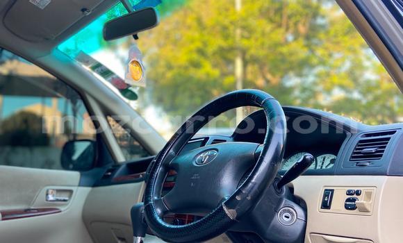 Nunua Ilio tumika Toyota Spacio Nyingine Gari ndani ya Maputo nchini Maputo Nunua Ilio tumika Toyota Spacio Nyingine Gari ndani ya Maputo nchini Maputo