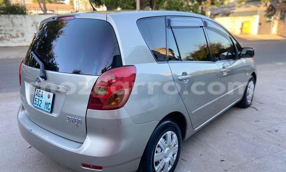 Nunua Ilio tumika Toyota Spacio Nyingine Gari ndani ya Maputo nchini Maputo Nunua Ilio tumika Toyota Spacio Nyingine Gari ndani ya Maputo nchini Maputo
