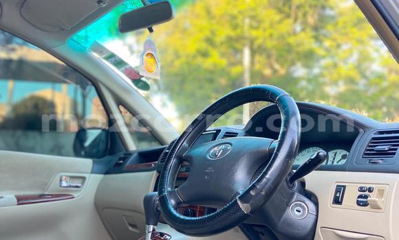 Nunua Ilio tumika Toyota Spacio Nyingine Gari ndani ya Maputo nchini Maputo Nunua Ilio tumika Toyota Spacio Nyingine Gari ndani ya Maputo nchini Maputo