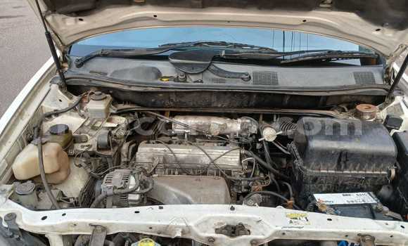 Buy Used Toyota Harrier White Car in Maputo in Maputo Buy Used Toyota Harrier White Car in Maputo in Maputo