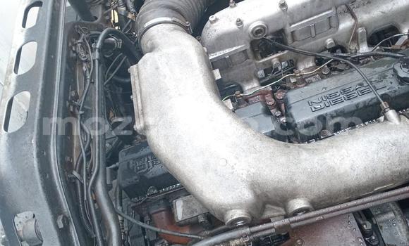 Buy Used Nissan UD White Truck in Maputo in Maputo Buy Used Nissan UD White Truck in Maputo in Maputo