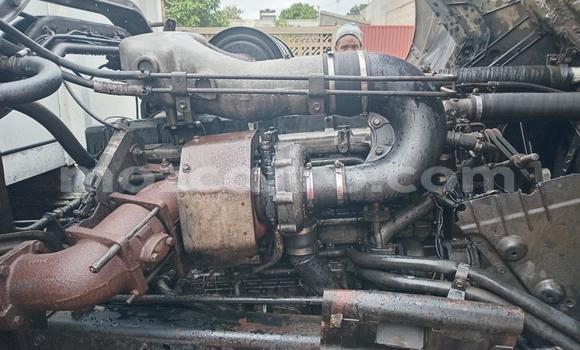 Buy Used Nissan UD White Truck in Maputo in Maputo Buy Used Nissan UD White Truck in Maputo in Maputo