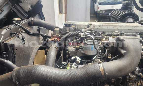 Buy New Hino 300 Series White Truck in Maputo in Maputo Buy New Hino 300 Series White Truck in Maputo in Maputo