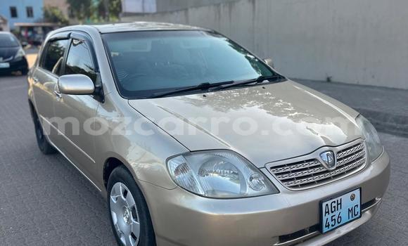 Tenga Tsaru Toyota Allex Zvimwe Mota in Maputo in Maputo