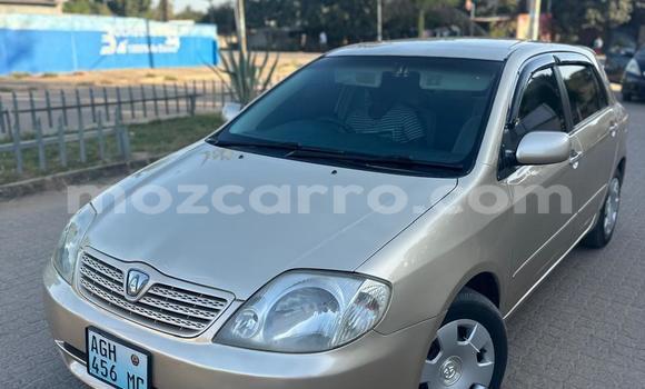 Tenga Tsaru Toyota Allex Zvimwe Mota in Maputo in Maputo Tenga Tsaru Toyota Allex Zvimwe Mota in Maputo in Maputo