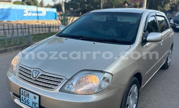 Tenga Tsaru Toyota Allex Zvimwe Mota in Maputo in Maputo Tenga Tsaru Toyota Allex Zvimwe Mota in Maputo in Maputo