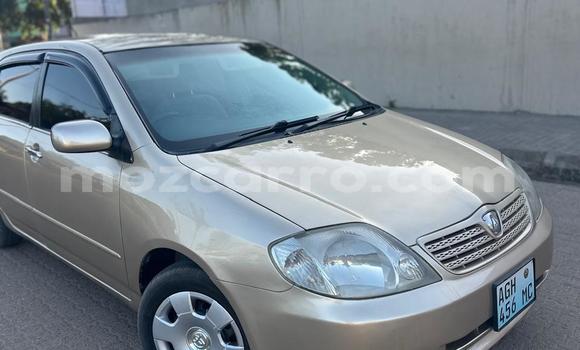 Tenga Tsaru Toyota Allex Zvimwe Mota in Maputo in Maputo Tenga Tsaru Toyota Allex Zvimwe Mota in Maputo in Maputo