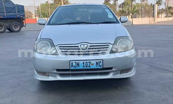 Nunua Ilio tumika Toyota Runx Fedha Gari ndani ya Maputo nchini Maputo