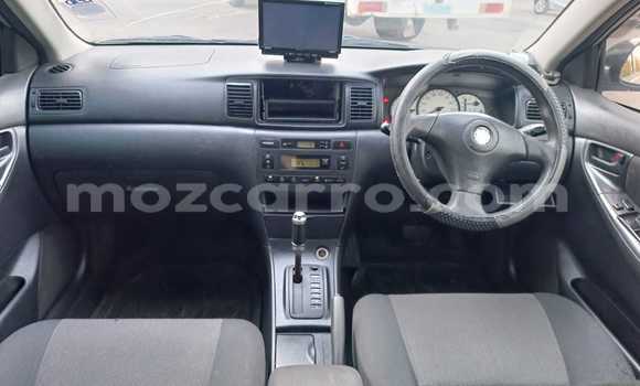 Buy Used Toyota Runx Silver Car in Maputo in Maputo Buy Used Toyota Runx Silver Car in Maputo in Maputo