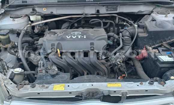 Buy Used Toyota Runx Silver Car in Maputo in Maputo Buy Used Toyota Runx Silver Car in Maputo in Maputo