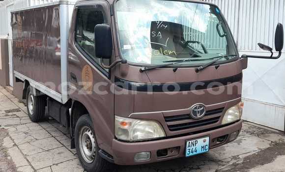 Buy New Toyota Dyna Brown Truck in Maputo in Maputo Buy New Toyota Dyna Brown Truck in Maputo in Maputo