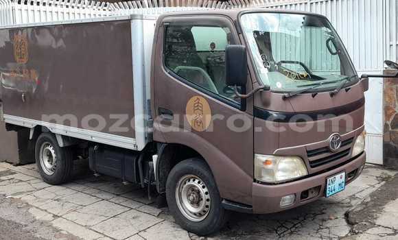 Buy New Toyota Dyna Brown Truck in Maputo in Maputo Buy New Toyota Dyna Brown Truck in Maputo in Maputo