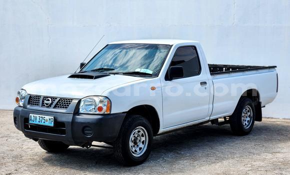 Comprar Usado Nissan Hardbody Branco Carro em Maputo em Maputo Comprar Usado Nissan Hardbody Branco Carro em Maputo em Maputo