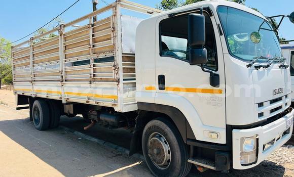 Nunua Mpya Isuzu FTR 850 Nyeupe Lori ndani ya Chibuto nchini Gaza Nunua Mpya Isuzu FTR 850 Nyeupe Lori ndani ya Chibuto nchini Gaza