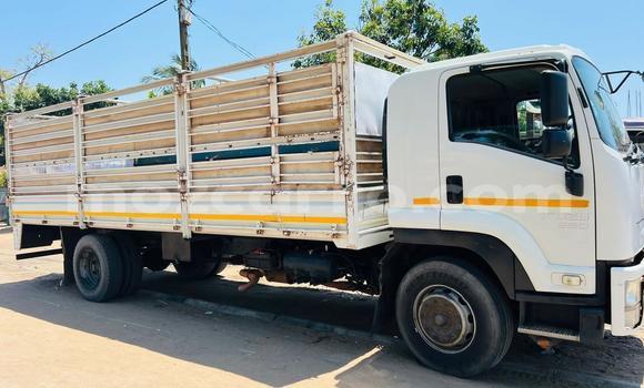 Nunua Mpya Isuzu FTR 850 Nyeupe Lori ndani ya Chibuto nchini Gaza Nunua Mpya Isuzu FTR 850 Nyeupe Lori ndani ya Chibuto nchini Gaza