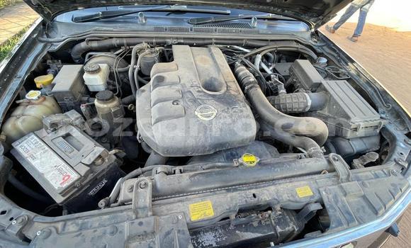 Buy Used Nissan Navara Black Car in Maputo in Maputo Buy Used Nissan Navara Black Car in Maputo in Maputo