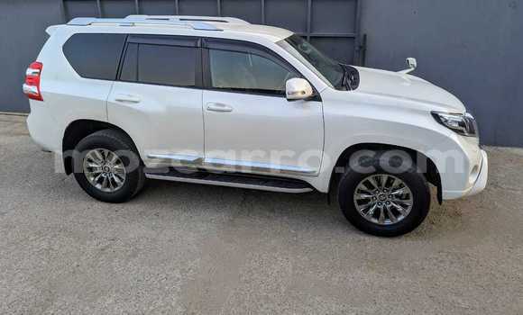 Comprar Novo Toyota Land Cruiser Prado Branco Carro em Maputo em Maputo Comprar Novo Toyota Land Cruiser Prado Branco Carro em Maputo em Maputo