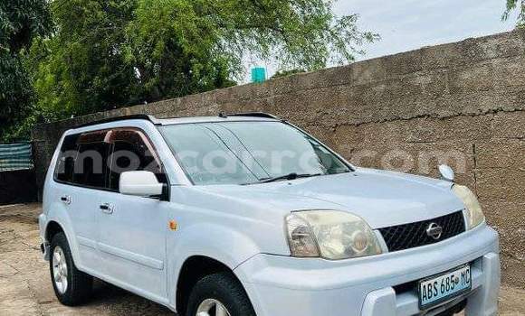 Buy Used Nissan X-Trail Other Car in Maputo in Maputo