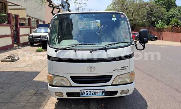 Comprar Novo Toyota HiAce Branco Caminhão em Maputo em Maputo