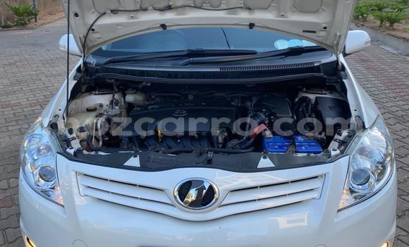 Nunua Ilio tumika Toyota Auris Nyeupe Gari ndani ya Maputo nchini Maputo Nunua Ilio tumika Toyota Auris Nyeupe Gari ndani ya Maputo nchini Maputo