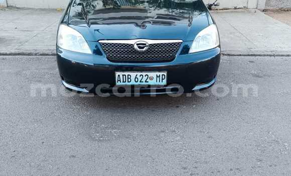 Comprar Usado Toyota Runx Preto Carro em Maputo em Maputo
