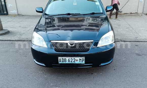 Tenga Tsaru Toyota Runx Nhema Mota in Maputo in Maputo Tenga Tsaru Toyota Runx Nhema Mota in Maputo in Maputo