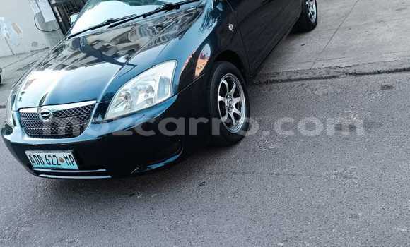 Tenga Tsaru Toyota Runx Nhema Mota in Maputo in Maputo Tenga Tsaru Toyota Runx Nhema Mota in Maputo in Maputo