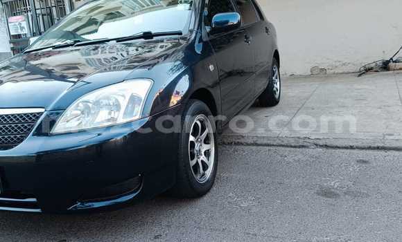 Tenga Tsaru Toyota Runx Nhema Mota in Maputo in Maputo Tenga Tsaru Toyota Runx Nhema Mota in Maputo in Maputo