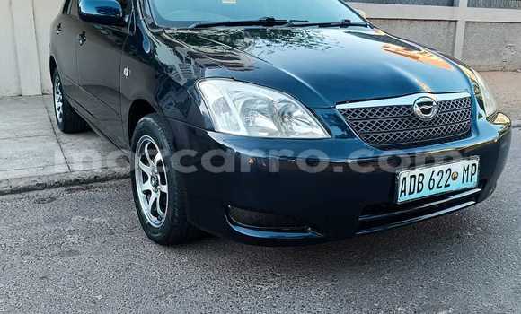 Tenga Tsaru Toyota Runx Nhema Mota in Maputo in Maputo Tenga Tsaru Toyota Runx Nhema Mota in Maputo in Maputo