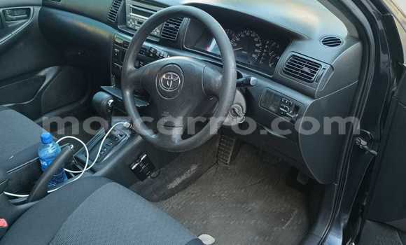 Tenga Tsaru Toyota Runx Nhema Mota in Maputo in Maputo Tenga Tsaru Toyota Runx Nhema Mota in Maputo in Maputo