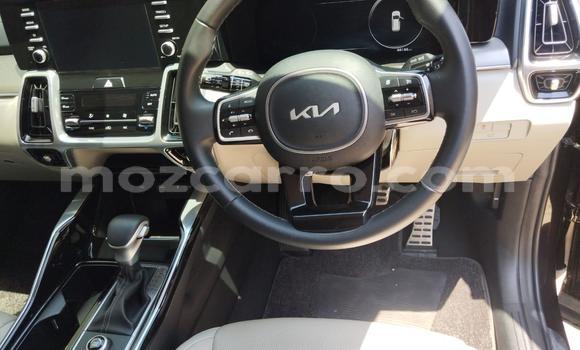 Buy New Kia Sorento Black Car in Maputo in Maputo Buy New Kia Sorento Black Car in Maputo in Maputo