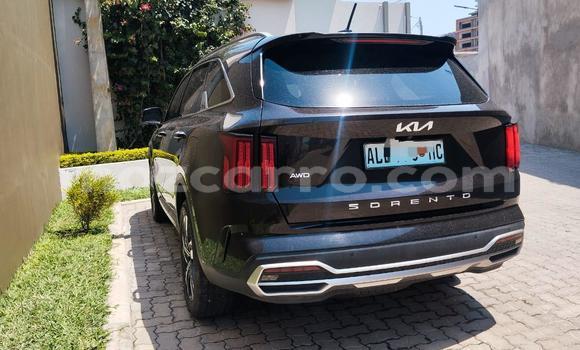 Buy New Kia Sorento Black Car in Maputo in Maputo Buy New Kia Sorento Black Car in Maputo in Maputo