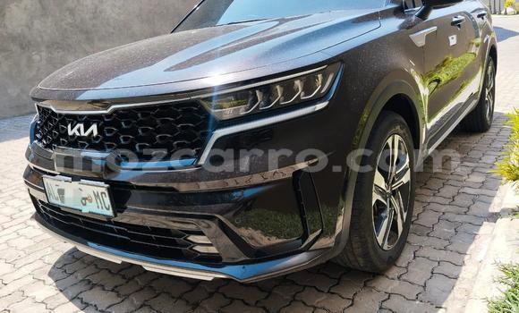 Buy New Kia Sorento Black Car in Maputo in Maputo Buy New Kia Sorento Black Car in Maputo in Maputo